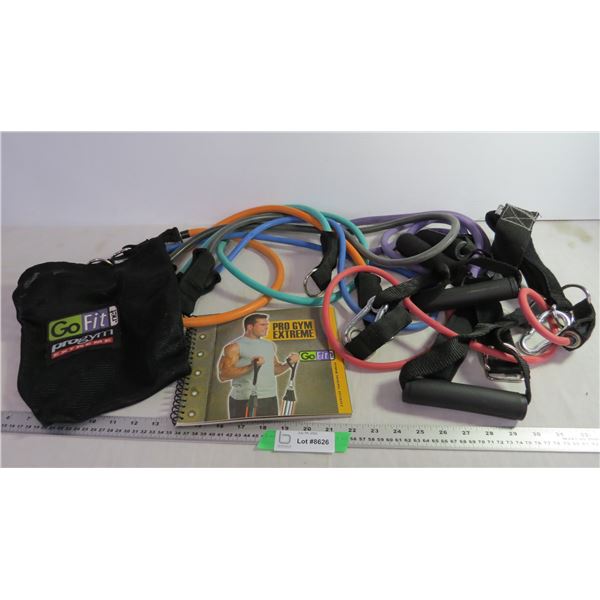 Pro Gym Extreme in Storage Bag