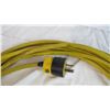 Image 2 : Extension cord and cord with cut ends