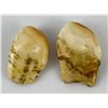 Image 3 : Pair of Montana Bull Elk Teeth #1