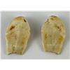 Image 3 : Pair of Montana Bull Elk Teeth #3