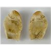 Image 4 : Pair of Montana Bull Elk Teeth #3