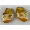 Image 3 : Pair of Montana Bull Elk Teeth #5