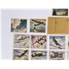 Image 12 : Coca Cola Americas Fighting Planes Cards