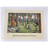 Image 1 : Monte Dolack Restoring Americas Forest Poster