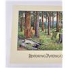 Image 2 : Monte Dolack Restoring Americas Forest Poster