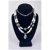 Image 1 : Navajo Turquoise Sterling Silver Shell Necklace
