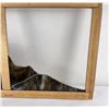 Image 10 : Custom Made Bald Eagle Stained Glass Window