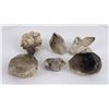 Image 2 : Montana Smokey Quartz Mineral Crystal Specimens