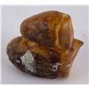 Image 3 : Alaskan Eskimo Inuit Fossil Walrus Teeth
