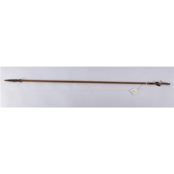 Papua New Guinea Tribal Hunting Arrow