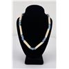 Nez Perce Indian Bone Hair Pipe Necklace