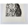 Image 3 : Peregrine Falcon Etching