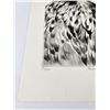 Image 4 : Peregrine Falcon Etching