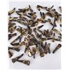 Image 3 : Lot of 100 Fossilized Buffalo Teeth