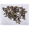 Image 1 : Lot of 100 Fossilized Buffalo Teeth