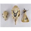 Image 1 : Collection of Decorated Animal Skulls