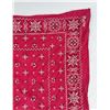 Image 3 : Fast Color Cowboy Bandanna Trunk Up