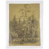Image 1 : Frederick Kress Drawing Study California