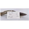 Image 8 : Bo Earls Handmade Obsidian Horn Handle Knife