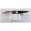 Image 4 : Bo Earls Handmade Obsidian Horn Handle Knife