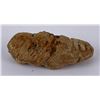 Image 5 : Moroccan Fossil Trilobite