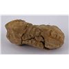 Image 3 : Moroccan Fossil Trilobite