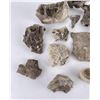 Image 2 : Group of Mineral Specimens