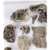 Image 3 : Group of Mineral Specimens