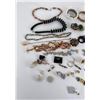 Image 2 : Large Group of Costume Jewelry