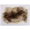 Image 1 : Taxidermy Rabbit Fur Pelt