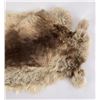Image 3 : Taxidermy Rabbit Fur Pelt