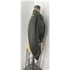 Image 2 : WW2 Medical Department IKE Uniform Jacket