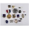 Image 1 : Group of US Military Pins