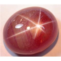 4.60ct RARE  Excellent  6 Ray Red Star Ruby Cabochon RETAIL $1500 (GEM-4144)