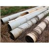 Image 8 : Qty Approx. 7 Long Pipes 12-15" Diameter to  247"L