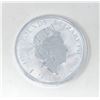 Image 2 : 10 Oz. .999 Silver British "Royal Arms" Coin