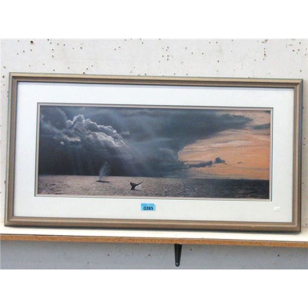 T. Isaac  Pacific Patterns  Framed Print