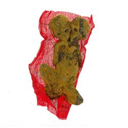 Good Luck Molded Spice Siamese Fetus Skeleton  (CLB-331)