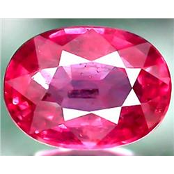 1.70ct RARE Precious Oval Top Pink Sapphire Tanzania VS RETAIL $1450 (GEM-4160)