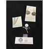 Image 1 : A Nice Jewelry Lot of Ladybug and Rhinestone Earrings and an A Brooche