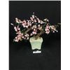 Image 1 : A Nice 17 x 15" Jade Tree