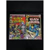 Image 2 : Lot of 3 Black Goliath Vintage Comics #3-5 1976