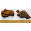 Image 1 : 6)  LOT OF 2 PIECES OF PETRIFIED DINOSAUR