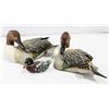 Image 1 : PAIR OF WATERFOWL COLLECTION PINTAIL DRAKES AND