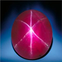 2.99ct RARE  Supreme  6 Ray Red Star Ruby Opaque RETAIL $950 (GEM-3958)