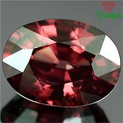 1.63ct RARE  Beautiful Natural Red Pink Zircon Cambodia Gem VVS RETAIL $1300 (GEM-3994)