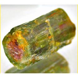 22.29ct RARE Natural Watermelon Tourmaline Crystal (GEM-4077)