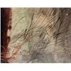 Image 2 : Unveiling by Henry Asencio