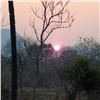 Image 2 : 7-DAY BULL GIRAFFE AND CAPE BUFFALO  HUNT FOR 1 HUNTER IN SOUTH AFRICA