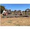 Image 4 : 7-DAY BULL GIRAFFE AND CAPE BUFFALO  HUNT FOR 1 HUNTER IN SOUTH AFRICA